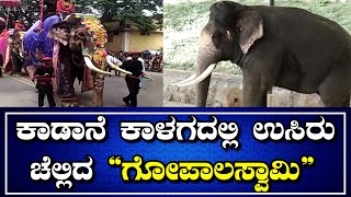 5 ಬಾರಿ ದಸರಾ ಮೆರವಣಿಗೆಯಲ್ಲಿ ಪಾಲ್ಗೊಂಡ ಹಿರಿಯ ಆನೆ | Mysuru Dasara 2022 | TODAY KANNADA