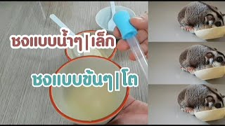 ชงอาหารเสริมแบบน้ำๆและแบบข้นๆ|ชูก้าร์