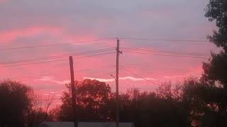 Pink Sunset