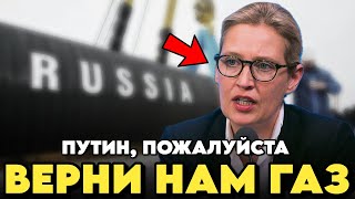 ⚡️ТОЛЬКО ЧТО! Германия ПРОЗРЕЛА И Хочет ДРУЖИТЬ с РОССИЕЙ /  Устали Без Российского ГАЗА