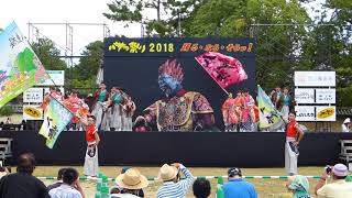 奈良市役所チーム 八重櫻　バサラ祭り2018　奈良公園会場　①