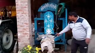 Bikau, 🚜 थ्रेसर मशीन 2019 मॉडल अच्छी कंडीशन 👉 9761677365 बिकाऊ