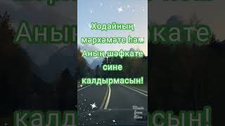 Хәерле иртә, Дустым! Сәлам 👋🏻🤗 Бәхет телим, уңышлар, шәп кәеф!!!