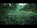 Jonathan and Melissa Helser - Abba (Official Lyric Video) | Beautiful Surrender