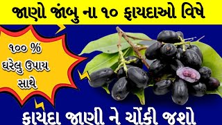 જાંબુ ના ફાયદા જાણી ને ચોકી જશો ! જાંબુ ના ફાયદા, ઉપાય અને ઉપચાર, Jambu na fayda, #gujaratinews