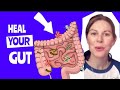 The Gut-MS Connection: Secrets to Boosting Your Health