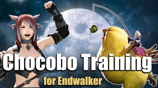 Is Your Chocobo Ready for Endwalker? | Chocobo Leveling \u0026 Skill Guide