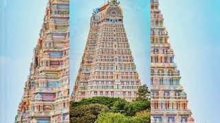 The Srirangam Ranganathaswamy Temple is one of the 108 most important temple