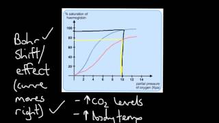 Oxyhaemoglobin Dissociation Curve