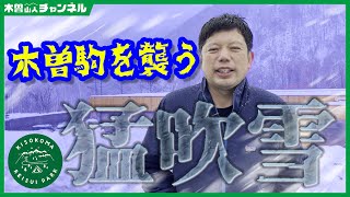 【公園開発DIY】猛吹雪