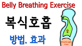 복식호흡하는법 단전호흡 복식호흡 연습 How to do Abdominal Diaphragmatic Breathing Belly Breathing Exercise Benefits