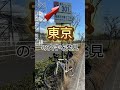 自転車日本一周（本州一周編）55日目