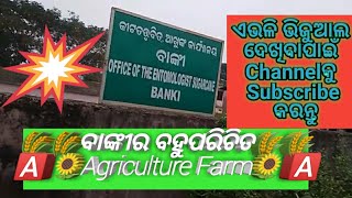 🌾ଆସ ଆଜି ଏକ ପୁରୁଣା 🌾Agricultural farm🌾 ବୁଲିବା କଣଥିଲା ଆଉ କଣ ଅଛି ବୁଲି ଦେଖିବା🙊🙏🙏