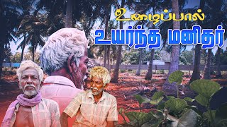 10 இலட்சம் என்னுடைய வருமானம் | Successful story of a Agro Forester | Alaveddy | Jaffna