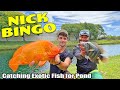 Nick Bingo Catching Exotic Fish for His Pond!