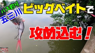 【五三川】ここに入れればビッグベイトで釣れるでしょ！？【バス釣り】