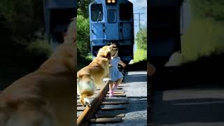 絶対危険！線路を歩く女の子を助けたのは？！”#dog #pets  #baby #cute“