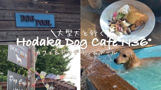 愛犬と過ごす休日🚗🐾お洒落なカフェ＆ドッグラン＆プールで大満喫✨ 穂高ドッグラン【ゴールデンレトリバー】