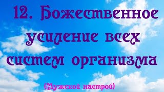 Божественное усиление всех систем организма. Мужской настрой