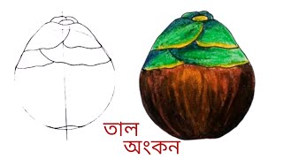 How to draw palm fruit step by step || সহজে বৃত্ত দিয়ে তাল আঁকা