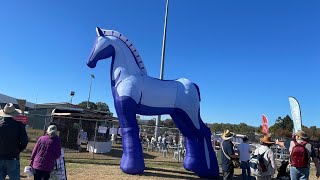 Clydesdale Spectacular 2023