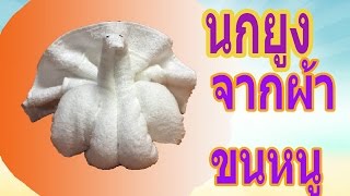 วิธีพับผ้าขนหนู ให้กลายเป็นนกยูง How to fold a towel peacock