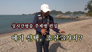 [강좌영상] 반드시 알아야할, 에기의 선택 조건 3가지?