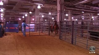 Lindsay Sears | 2023 Rodeo Houston