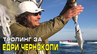 За ЕДРИ ЧЕРНОКОПИ в Черно море