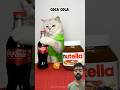 Relaxing Stuff with @CuddleClawShow #funny #cat #nutella #food #satisfying #catchef #cute #shorts