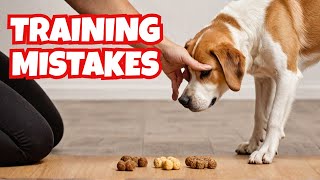 Are You Accidentally Ruining Your Dog's Training?