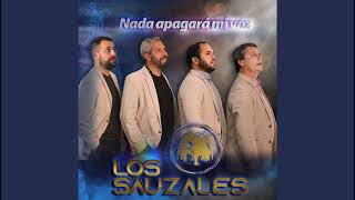 Entre el Cielo Vos y Yo - Los Sauzales