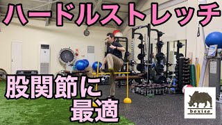 【テニスFit】ハードルストレッチ（股関節に最適）bexise ベグサイズ