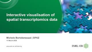 Interactive visualisation of spatial transcriptomics data