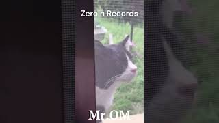 Cat Sound Design By Mr.OM at @zeroinrecords2020  #catsoundmusic