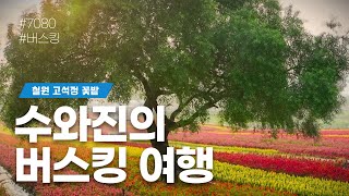 [수와진의 버스킹여행] #철원고석정꽃밭 (24.10.3) 함께 즐겨보는 음악방송!