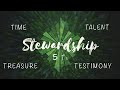 A Reflection on Stewardship