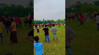 দামুজালিতে বিরাট ঘোড়া 🐎 দৌড় প্রতিযোগিতা অনুষ্ঠিত হয়েছে গতকাল দেখুন দর্শক আপনারা।