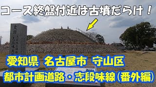 【散歩】名古屋市守山区 都市計画道路・志段味線 (番外編)