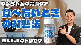 【犬の胃腸ケアサプリの定番】MAX-Pの取説 | 食べない時どうすればいい？どのくらい与えればいい？など