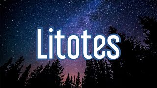 What Is Litotes? | Literary Devices | Easy Exemplary English