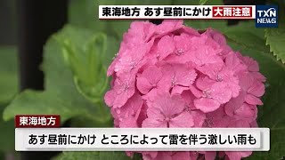 【梅雨前線】東海地方では雨に警戒　12日の昼前にかけて大雨に注意 (2023年6月11日)