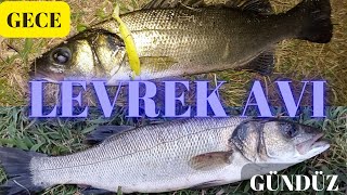 LRF İLE ATÇEK LEVREK AVI  #izmir #balık #bayraklı #balıkavı #levrek #seabass #fish #fishing #eniyi