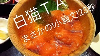 【白猫】まさかの！小論文！【２３秒】