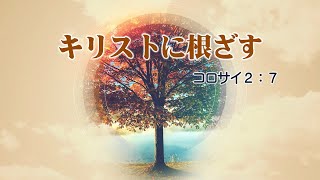 元旦礼拝『キリストに根ざす』20220101武蔵野キリスト教会