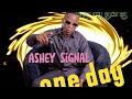 A.S.H.E.Y - S.I.G.N.A.L -One day official audio. #signal gang