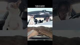Car Accident In Ohio