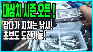 대삼치 시즌 오픈!  초보도 잡다가 퍼질 수 있습니다.