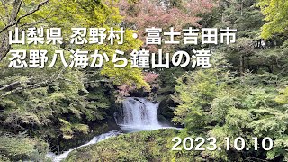 【ハイキング】 山梨県忍野村・富士吉田市 忍野八海から鐘山の滝 2023.10.10