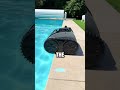 A ROBOT TANK THAT CLEAN POOLS